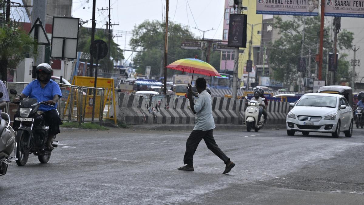 Above-normal-June-rainfall-to-keep-heat in check-in-most-parts-of-India-says-IMD