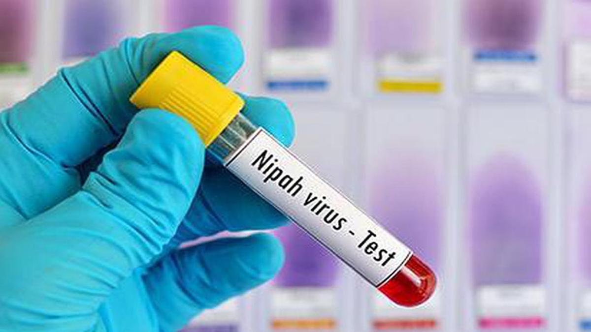 Nipah-Virus-Resurfaces-in-Kerala